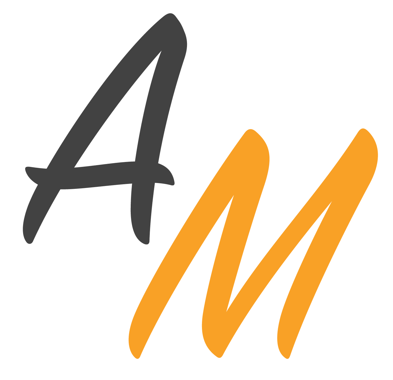 Logo de l'agence web AM WEB & MULTIMEDIA